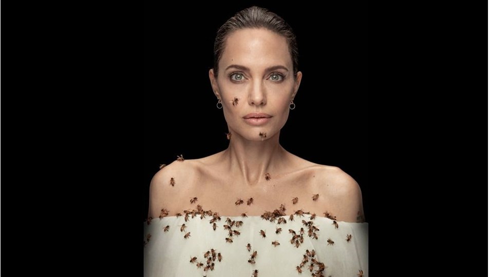 Angelina Jolie kadınlar için arılarla poz verdi!